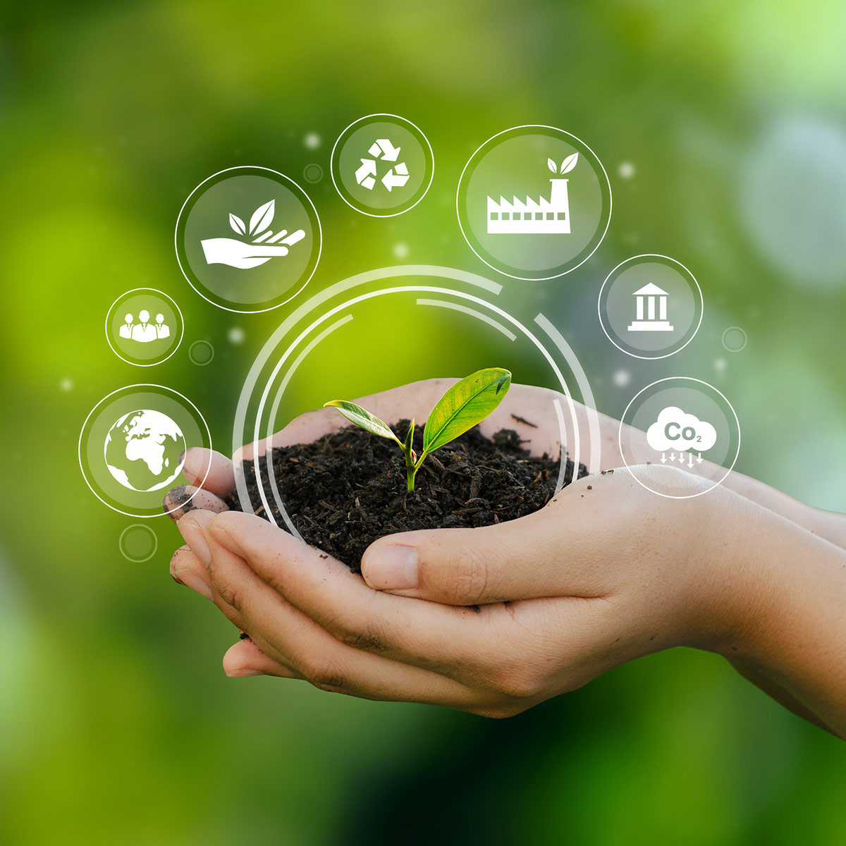 Commitment to sustainability & environment