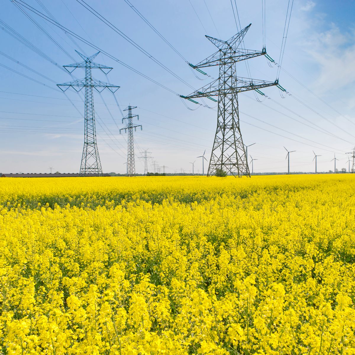 Heat-shrink applications for wildlife mitigation power lines